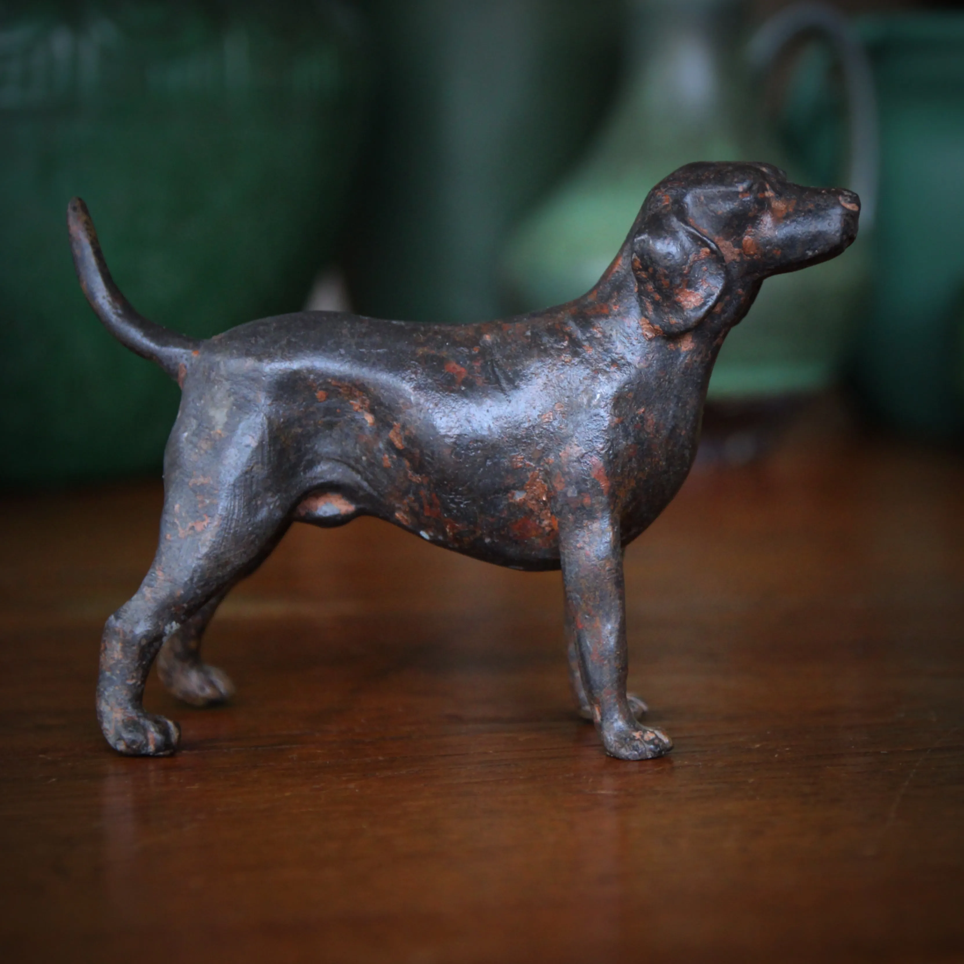 Bronzed Bird Dog