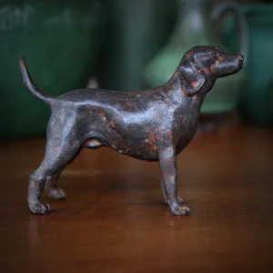 Bronzed Bird Dog