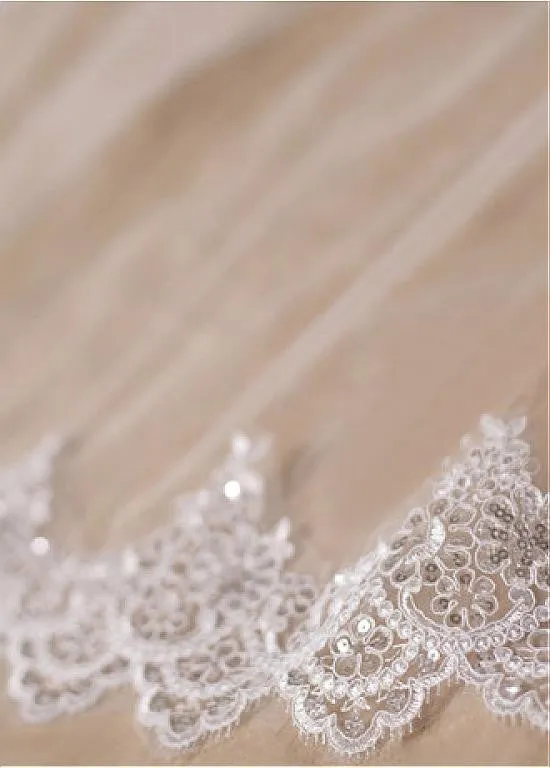 Chic Tulle Wedding Veil With Sequins Lace