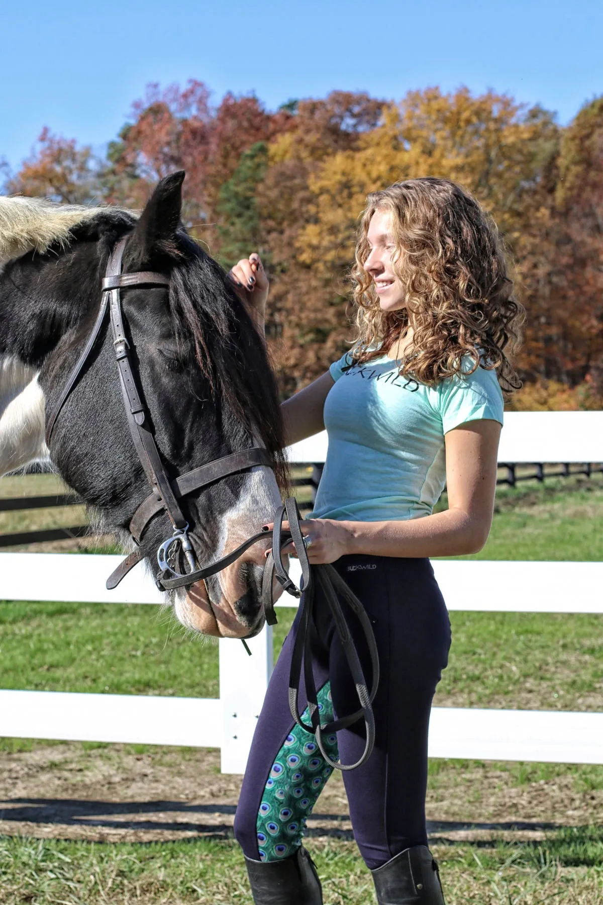 Curvy Mare | High-Waist Breech | Navy   Peacock | No Side Phone Pocket