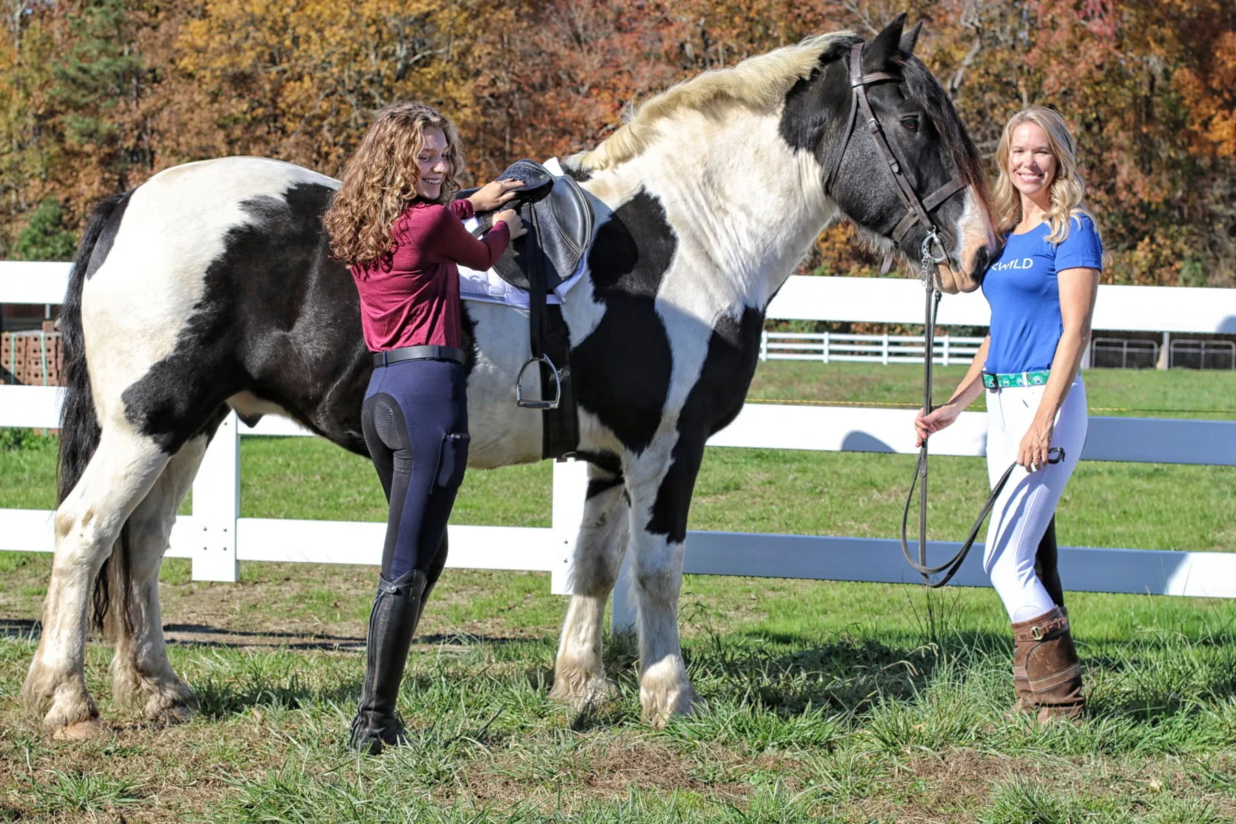 Curvy Mare | High-Waist Breech | White   Black | Side Pocket