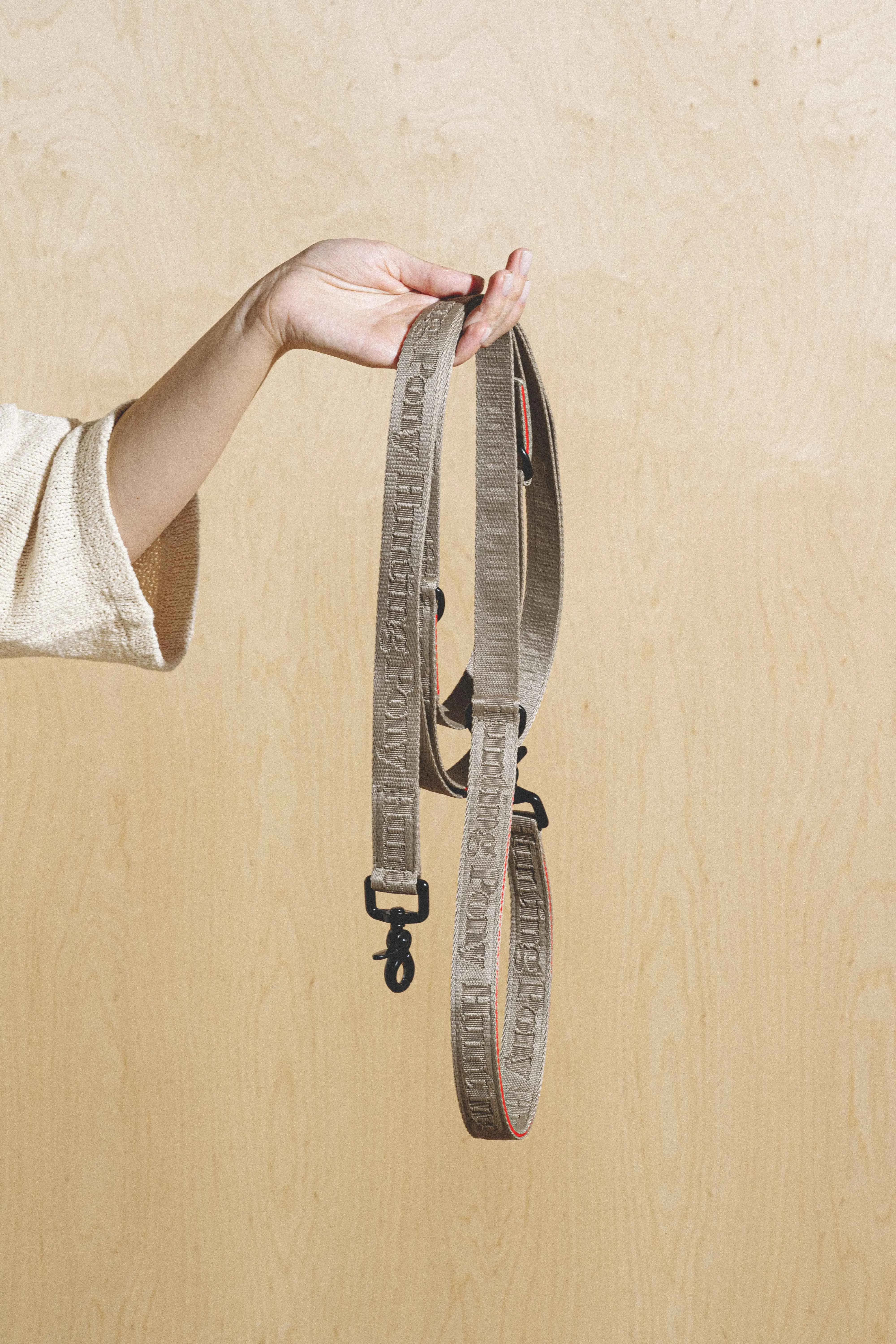 Dog-running leash Pony-Companiony Gray