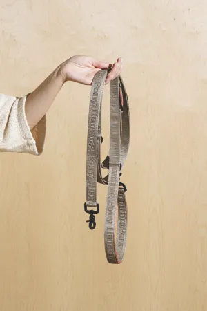 Dog-running leash Pony-Companiony Gray