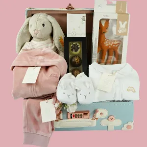 Luxury Baby Keepsake Hamper, Luxury Baby Girl Clothing Set, Steiff Bunny