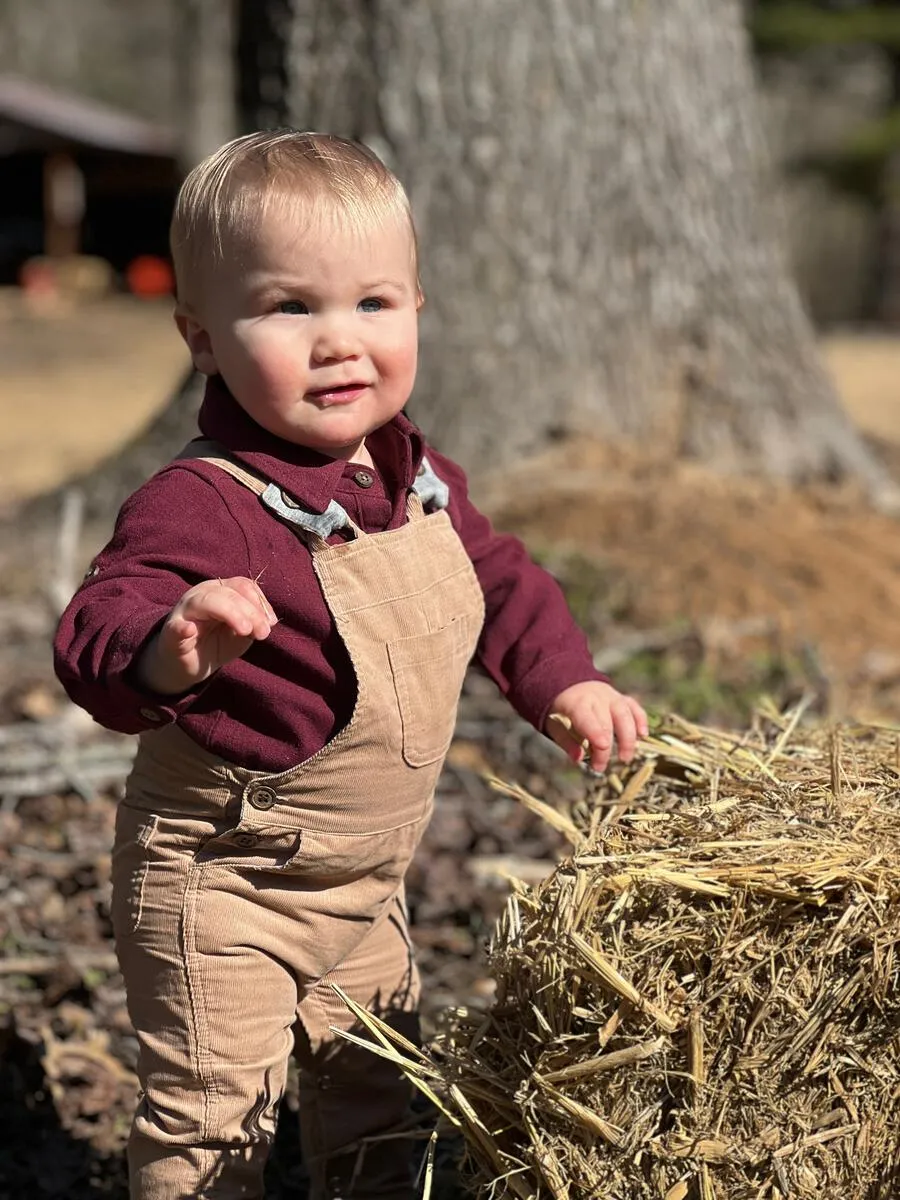Me & Henry Jasper Woven Onesie - Burgundy