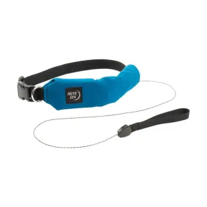 Niteize - RadDog All-In-One Collar   Leash - Large