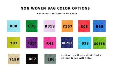 Non Woven Grocery Bag Standard NWG102