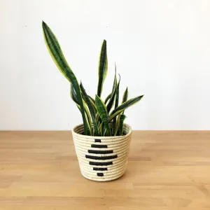 Nsyo Basket Planter
